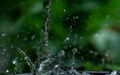 The Best Drainage and Irrigation Services in San Diego